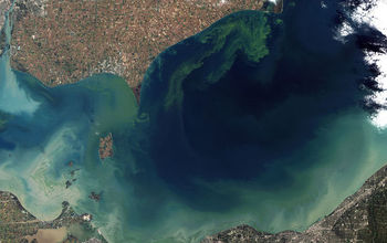 A 2011 freshwater harmful algae bloom turned Lake Erie a bright blue-green.